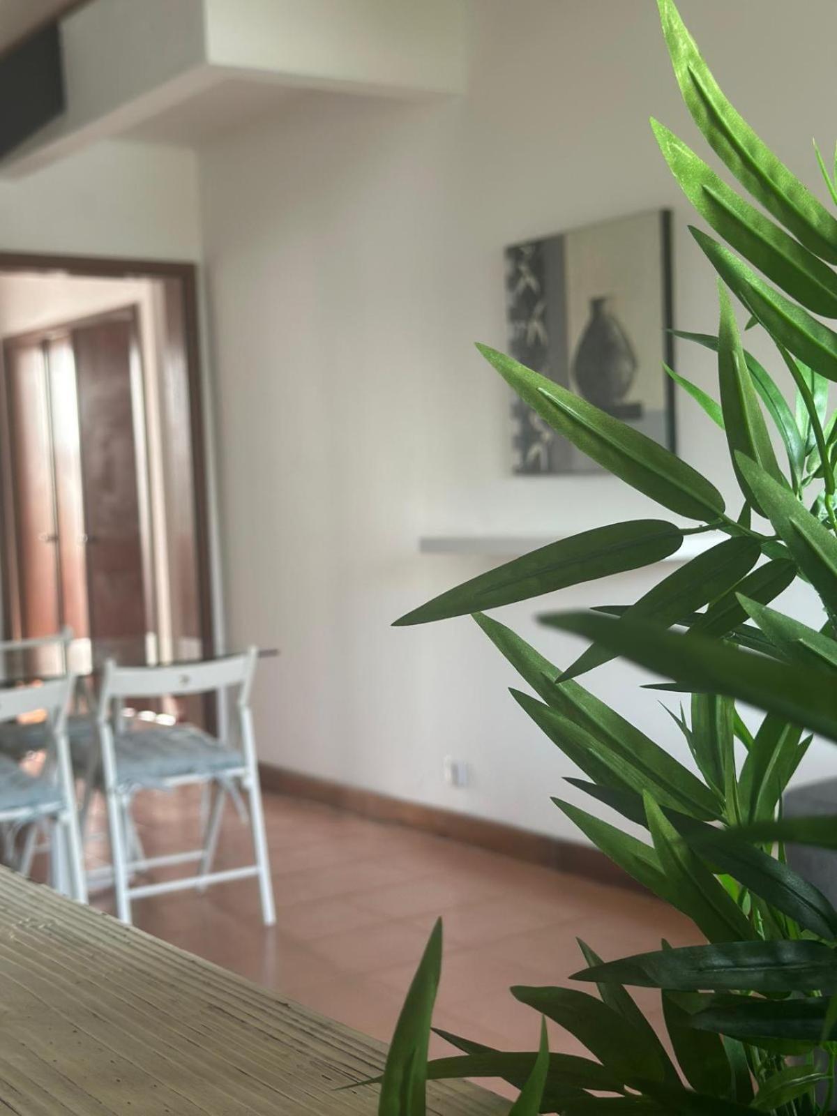 Azores Pedra Apartments - T0 E T1 蓬塔德尔加达 外观 照片