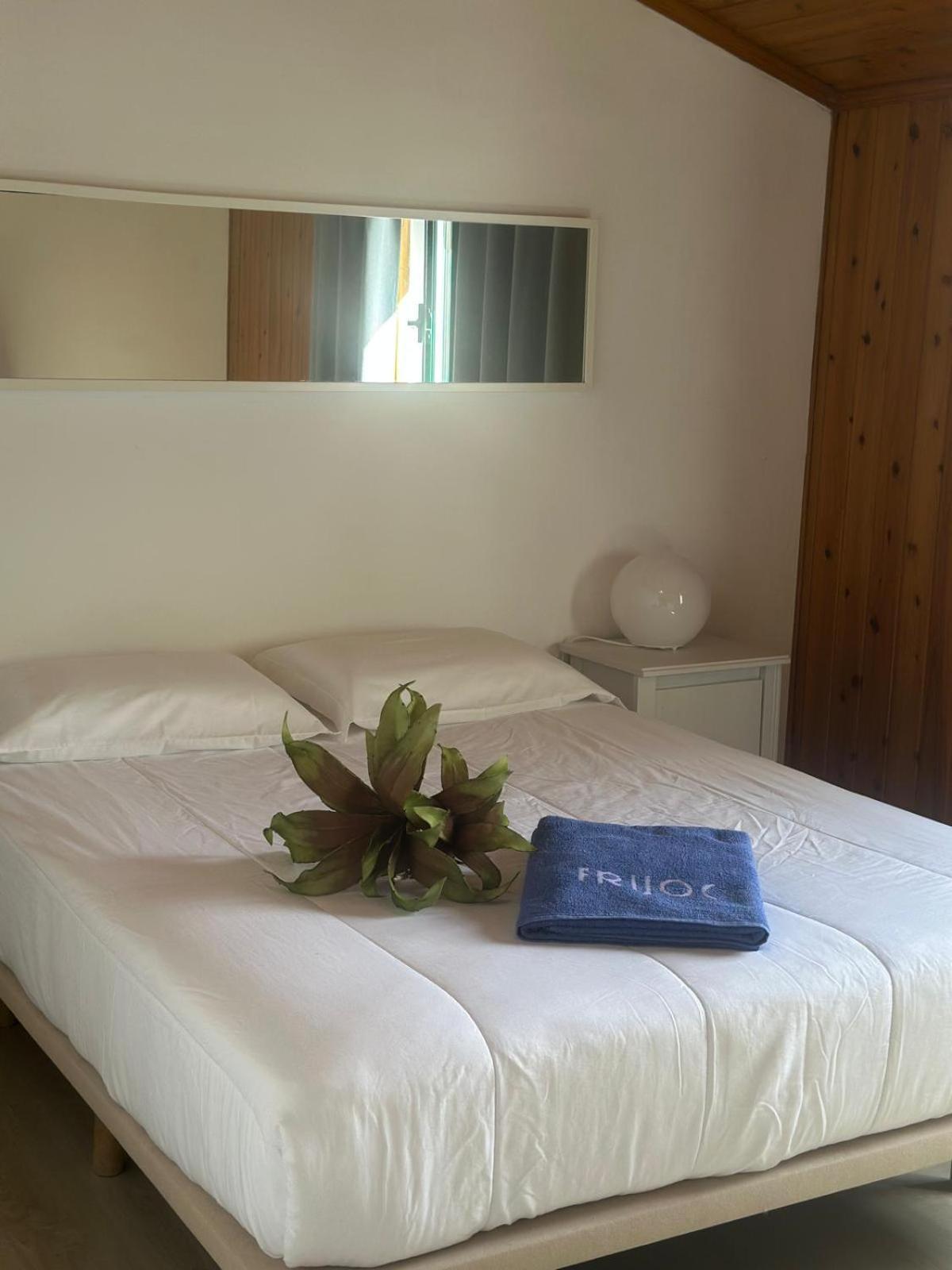 Azores Pedra Apartments - T0 E T1 蓬塔德尔加达 外观 照片